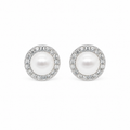 Aretes Halo Perla Clásicos