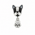 Charm Bulldog Francés